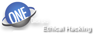 Ethical Hacking by Onedata